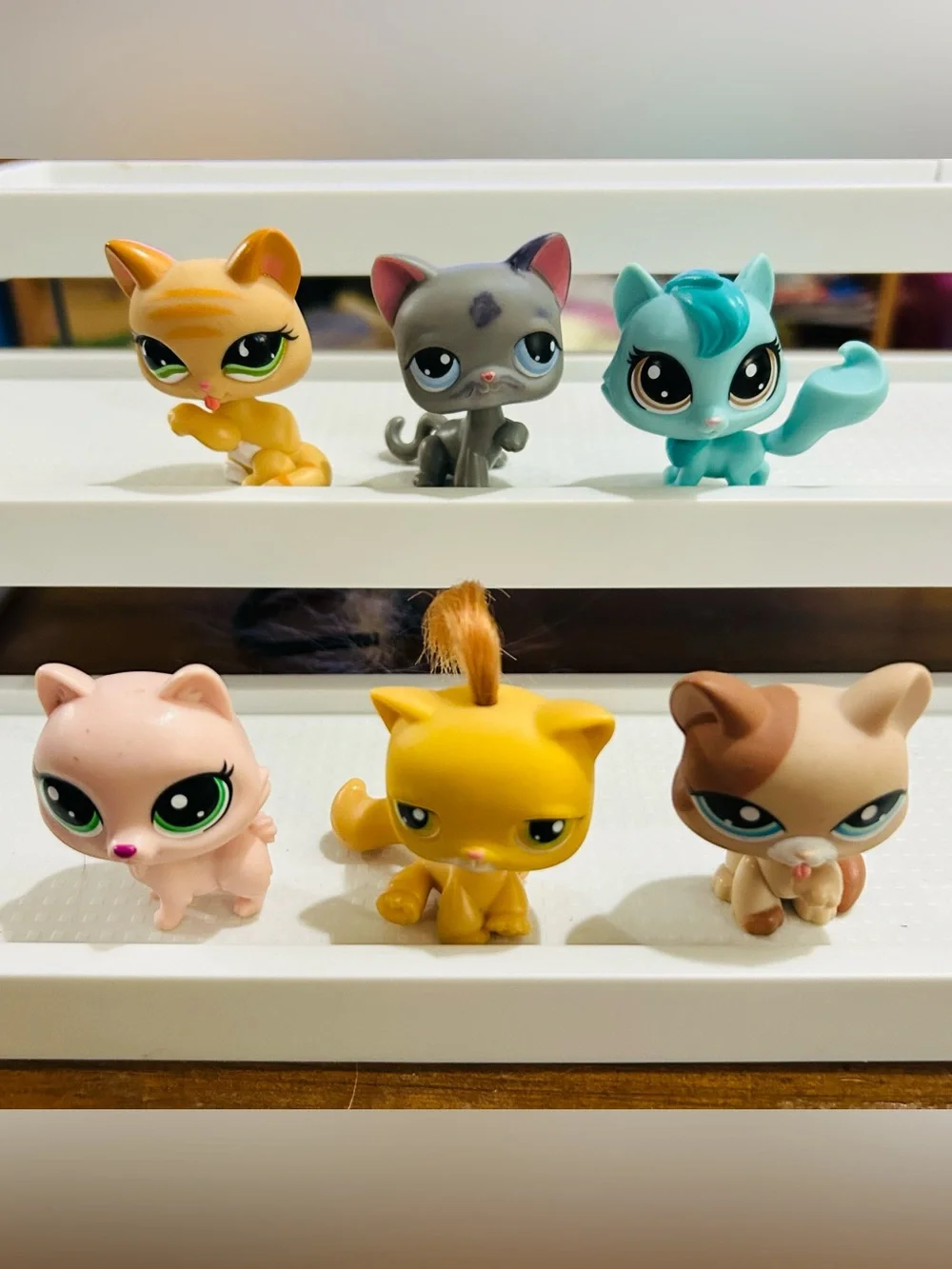Littlest Pet Shop LPS Cat Figures Lot 9 Pc Lot Including Litter Box